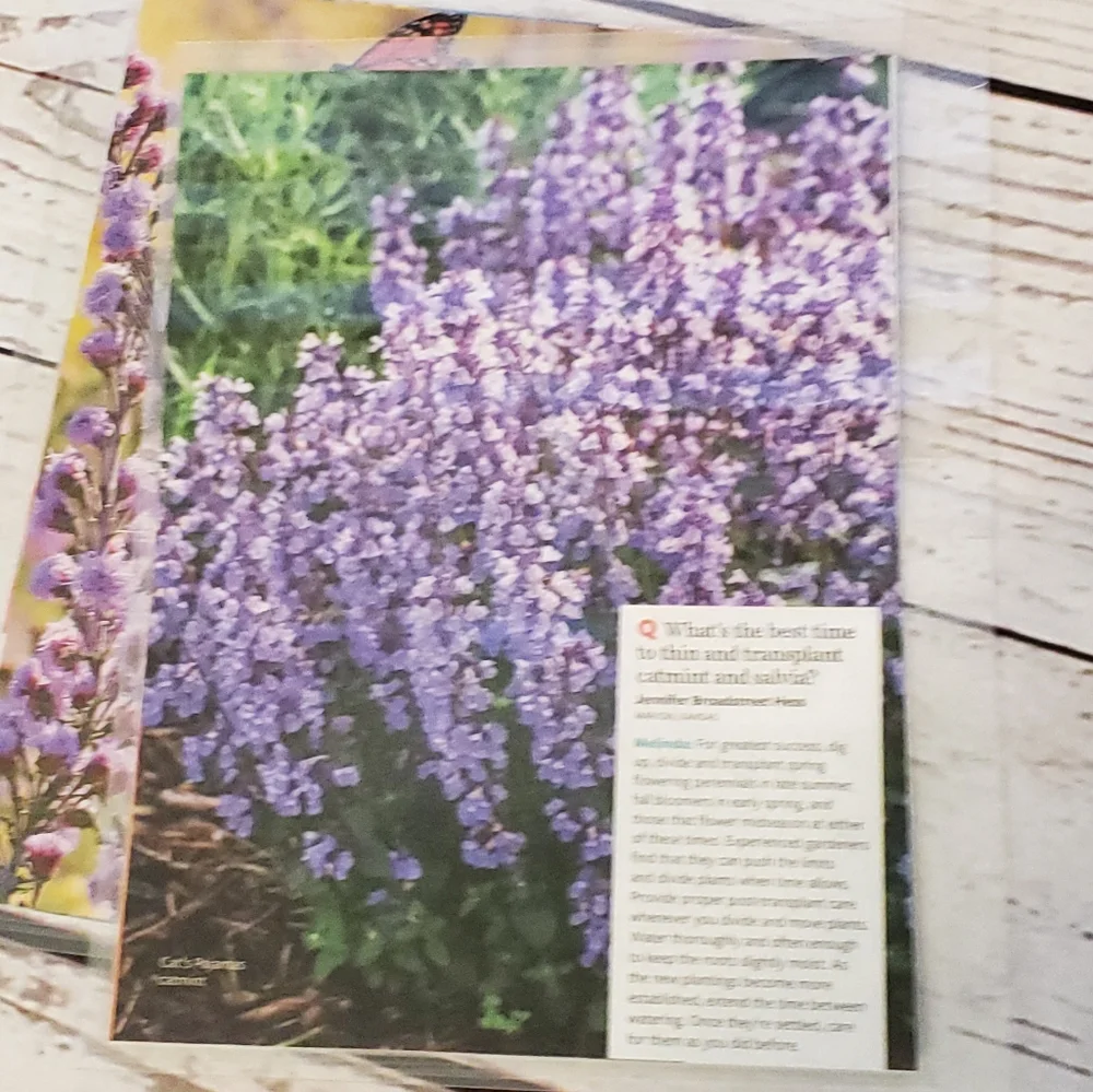 Handmade Cover For A Classic Sized Disc Bound Planner purple clematis, butterfly